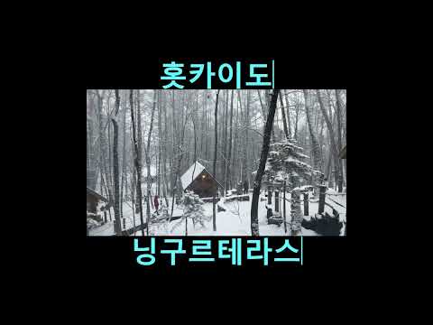 北海道 ニングルテラス (홋카이도 닝구르테라스)