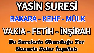 Yasin Suresi - Bakara  Suresi - Kehf Suresi- Mülk - Vakıa Suresi - Fetih Suresi ve İnşirah Suresi🤲🏻
