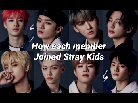 Stray Kids Debut Stories