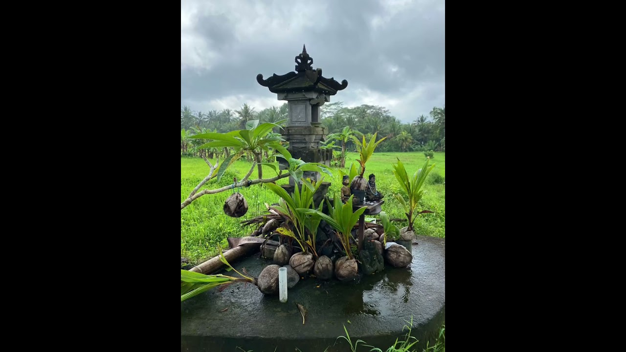 Sweet Orange walking trail Ubud Bali 20th September 2025