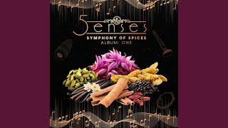 Experience Culinary Symphony