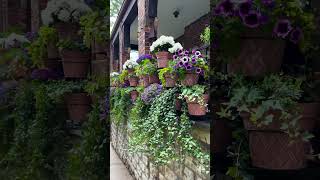 RailScapes™️ Plant Hangers for balcony gardening 👉from PlantTraps.com #balconygarden #railscapes RailScapes™️ Plant Hangers for balcony gardening 👉from PlantTraps.com #balconygarden #railscapes