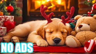 12 часов уютной городской ночной музыки для собак 💤 Спокойная атмосфера, которая избавит собак от