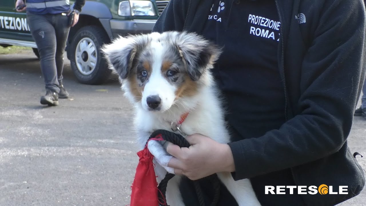 Protezione civile, nel Municipio IX l'atto conclusivo del 