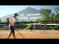 Farming Abroad - Coffee Harvest in El Salvador