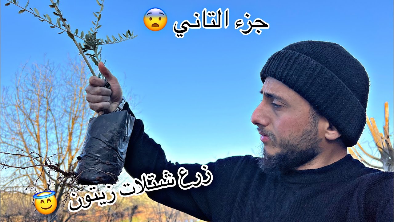 شلنا شتلات القديمه وزرعنا شتلات الجديدة رحنا علا افخم محل شتلات في عفرين 😨جزء التاني 
