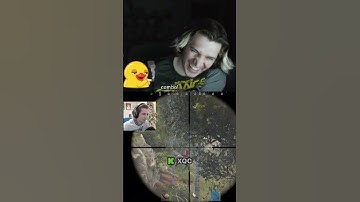 xQc being a menace on Rust 😭