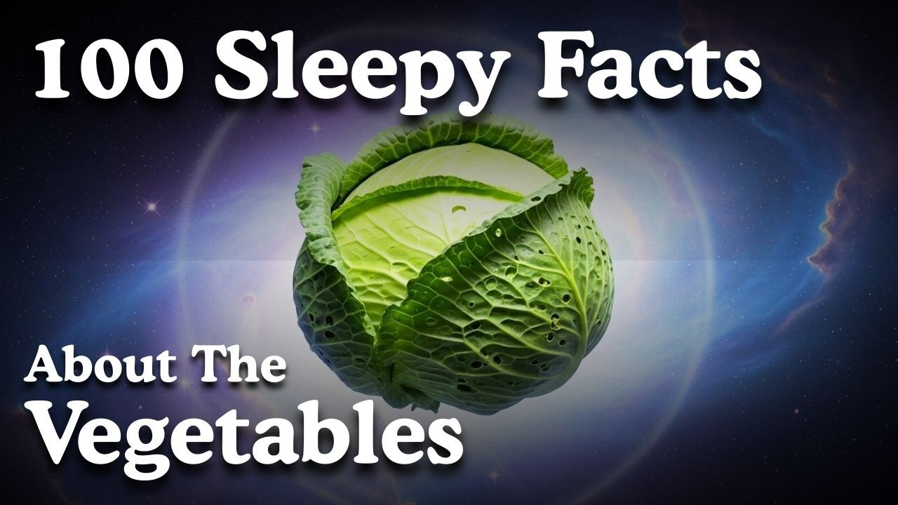 The Most Relaxing Facts About Vegetables to Fall Asleep To