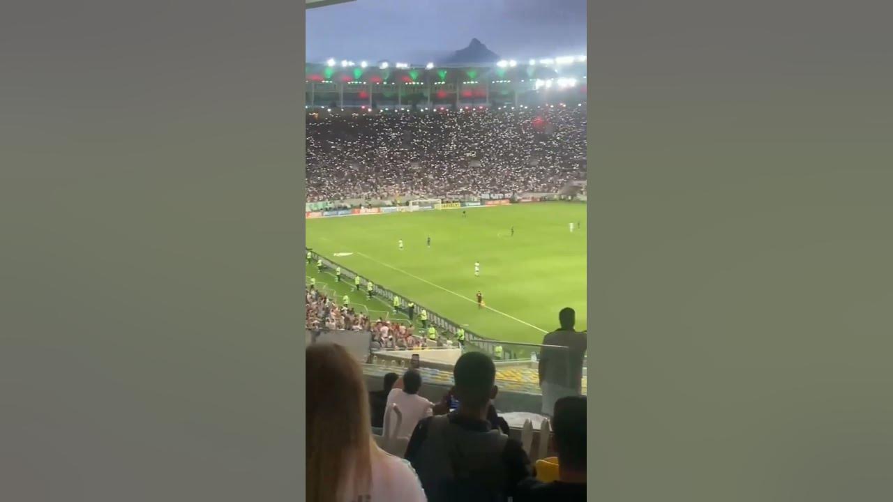 CENAS LAMENTÁVEIS: Torcida do Fluminense invade gramado na Copa Roblox de  Futebol para agredir os jogadores após sofrer uma goleada histórica do  Santa Cruz. : r/futebol