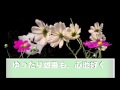 【歌】鏡リバーサイドワルツ あじさい(008) 高知 友子