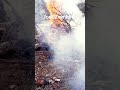 اخدم واهمل #tiktok #food #natural #adventure