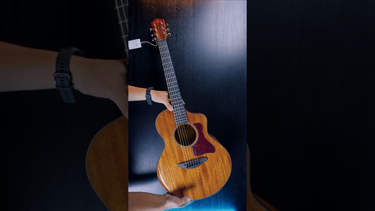 Unboxing: D&D Monterey Cutaway 