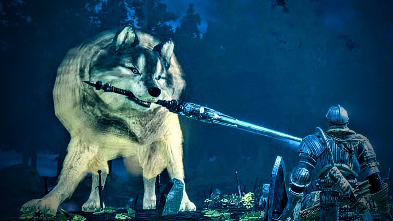 DARK SOULS Great Grey Wolf Sif 灰色の大狼 シフ 灰色の大狼シフ Sif, The Great Grey Wolf - YouTube