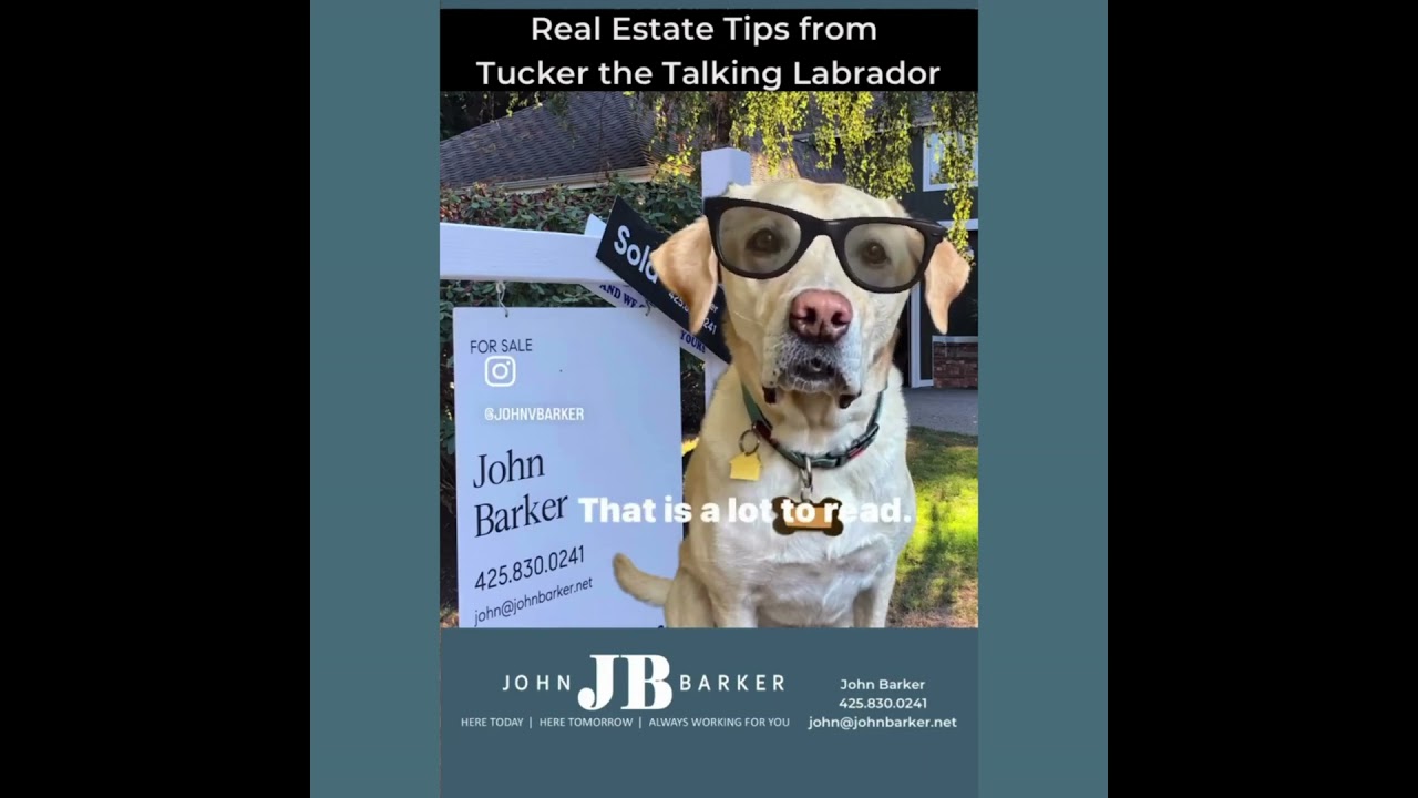 Tucker the Talking Labrador Real Estate Tip for May 17, 2023