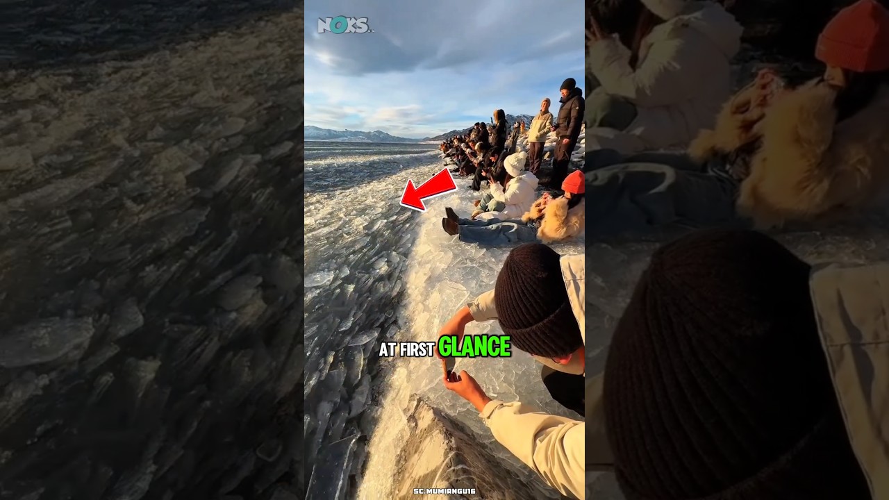 #сменаполосы