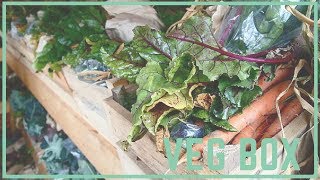 The Rise of the Organic Veg Box