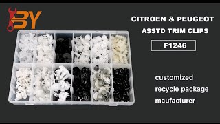 Product presentation: CITROEN & PEUGEOT ASSTD TRIM CLIPS 345PCS F1246.
