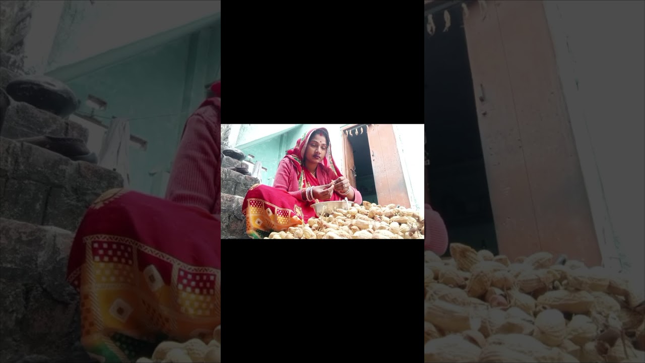 Mungfali todna  Hello friends welcome to my channel Maya Prasad