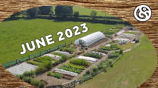 June 2023 Tour of our Market Garden and Food Forests by Bosco's Garden 4,143 views 11 months ago 22 minutes