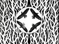 Patrick Duff/Craig John Davidson | Thought Birds/Mr. Manners | RSD 7" single (2014)