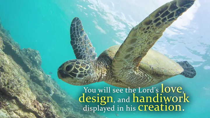 The Earth is Full of His Glory by JoAnn Powers