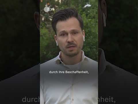 Konferenz gegen Plastikmüll - WWF fordert weltweite Einigung | #Short #Shorts #Plastikmüll