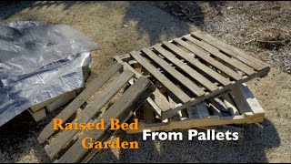 Raised Bed Garden from Pallets