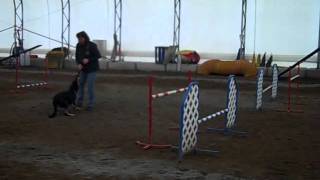 Sting jump grid 5