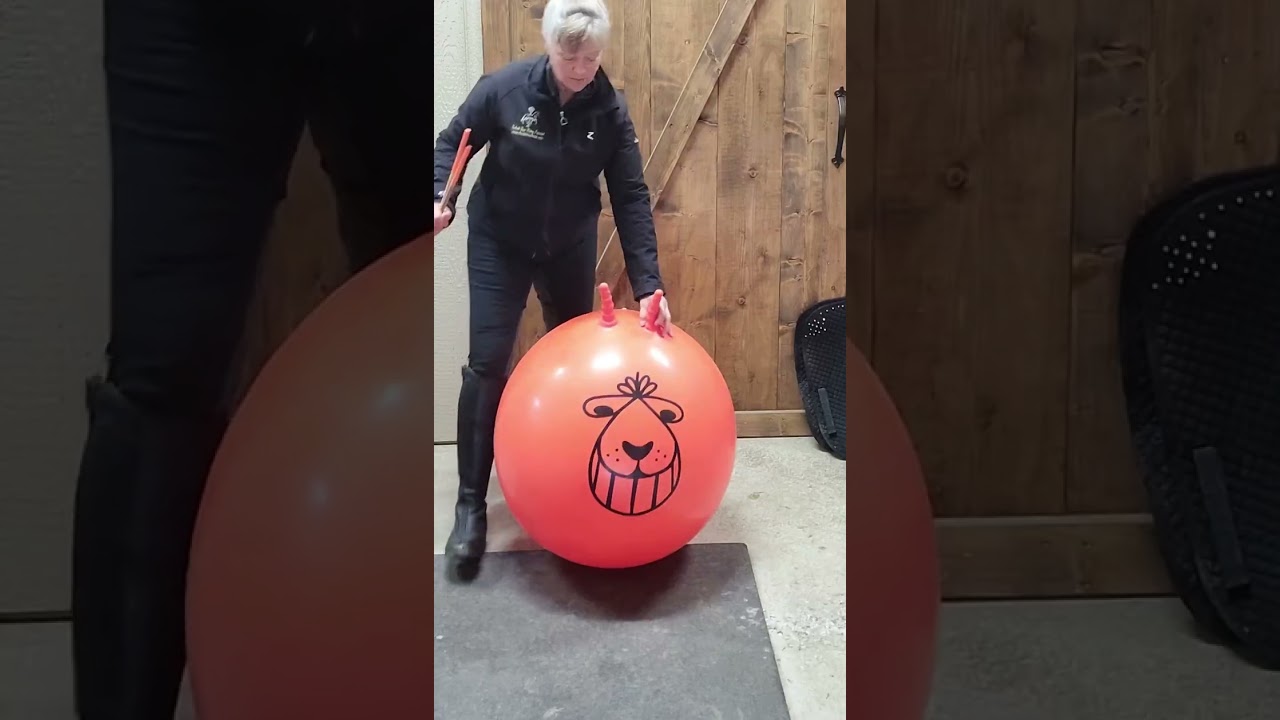 Soft Elbows in Rising and Sitting Trot - The Rider Mechanic