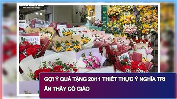 Gợi Ý Quà Tặng 20/11 Thiết Thực Ý Nghĩa Tri Ân Thầy Cô Giáo