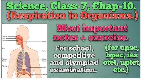 Science, class-7, chap-10(Respiration in Organisms.) Best ncert notes with exercise question answer.