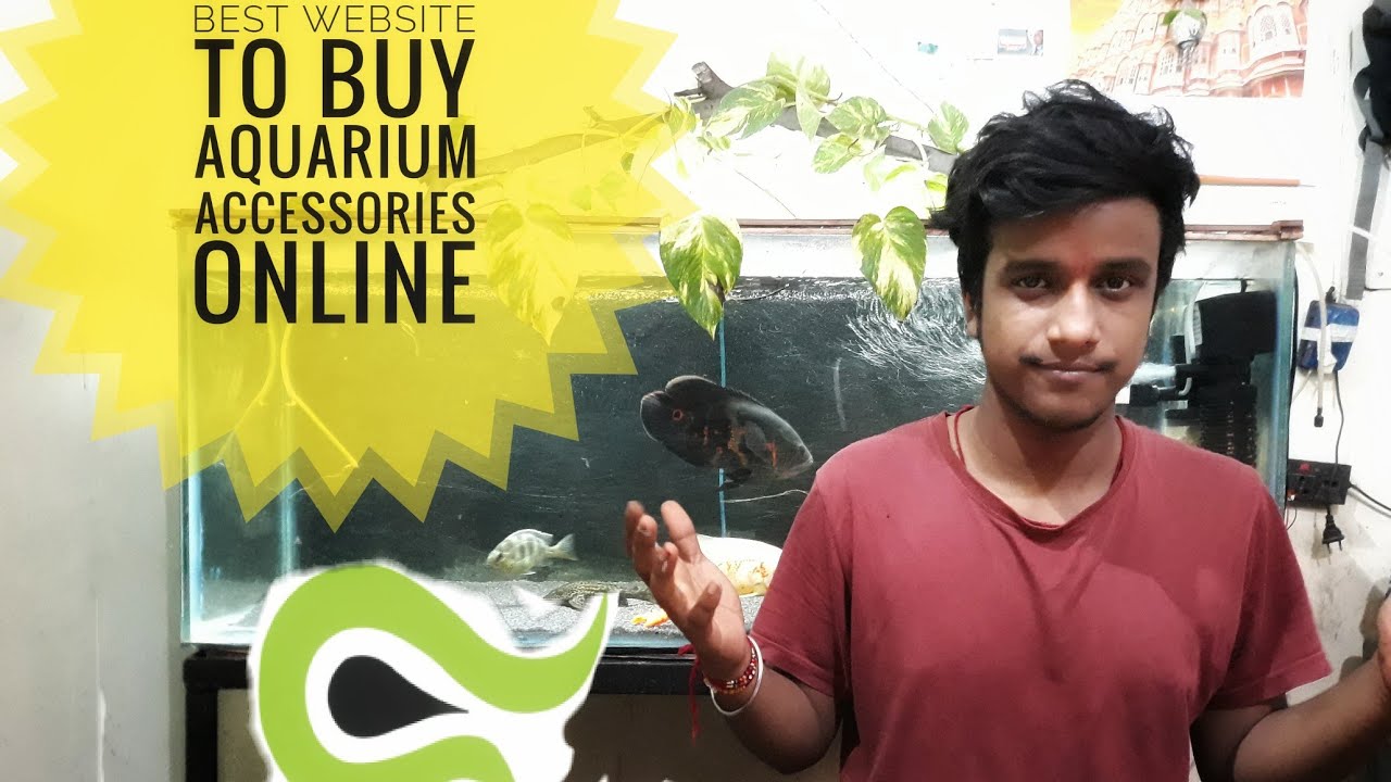 Best Indian site To Buy Aquarium Accessories Online . petscare1O1