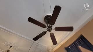 Ceiling Fans In Amsterdam