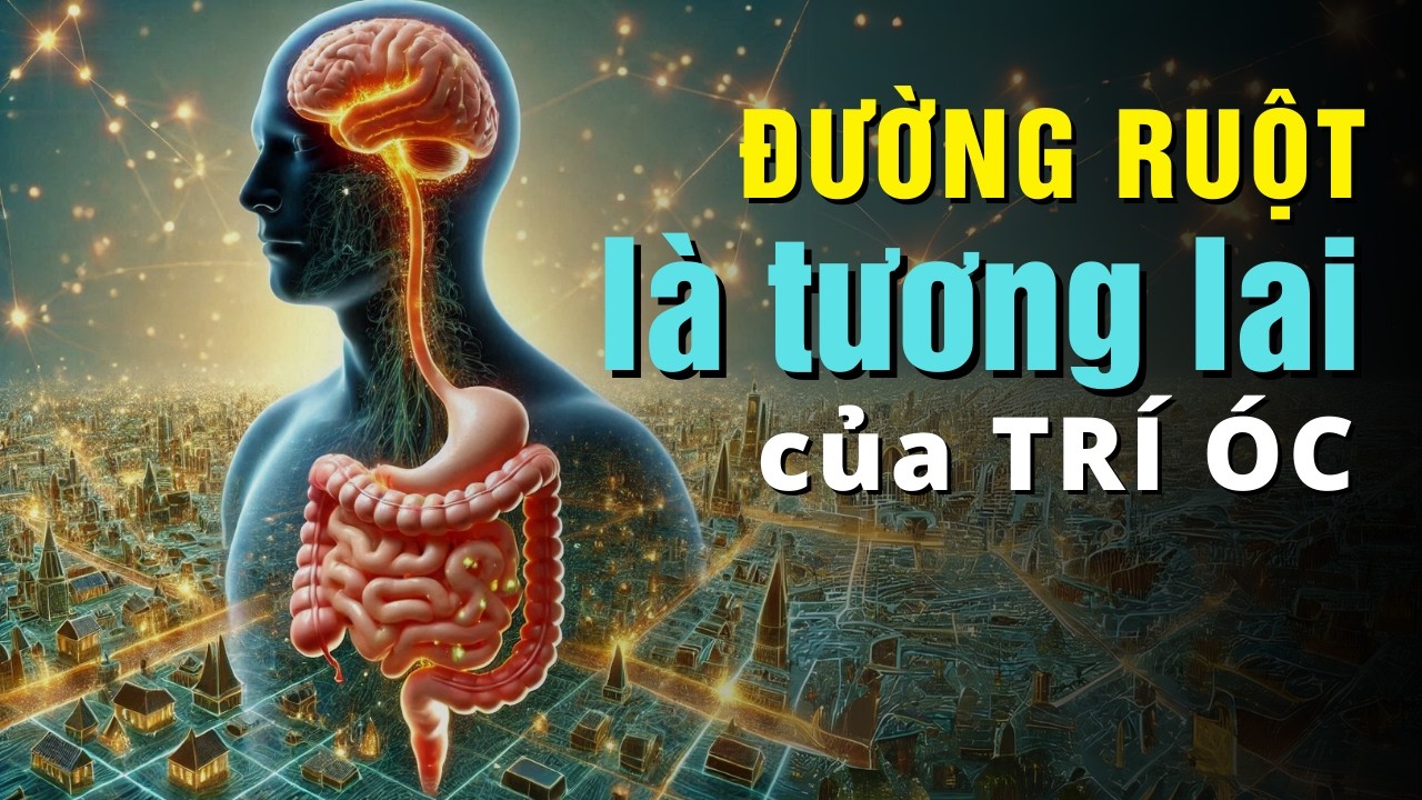 Mối Liên hệ Bí Mật giữa Đường Ruột và Não Bộ để sống Khỏe Chống Lão Hóa bạn cần phải biết!
