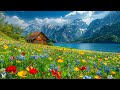 Beautiful Relaxing Music - Stop Overthinking, Stress Relief Music, Sleep Music, Calming Music #55