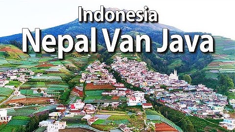 Napal Van Java - Indonesia