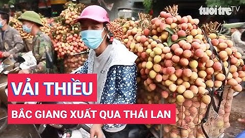 Vải thiều Bắc Giang xuất khẩu chính ngạnh sang Thái Lan
