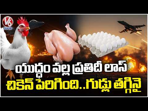 Chicken Prices Rise, Egg Rates Fall Due To Iran - Israel War | V6 News - V6NEWSTELUGU