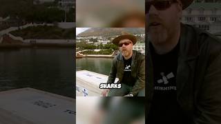 Sharks are afraid on what?! 🤯 #mythbusters #physics #science