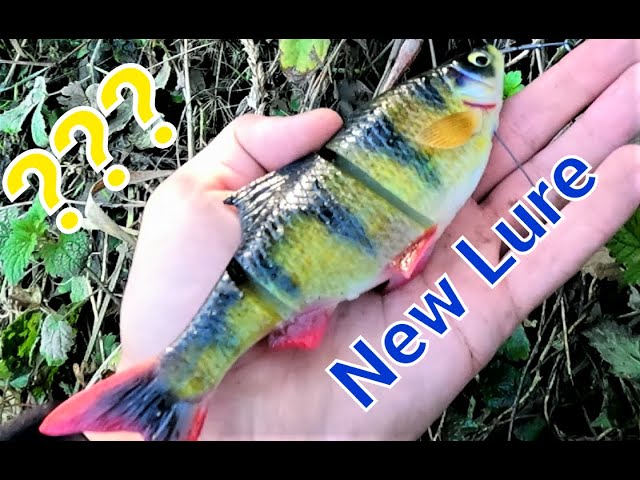 Leurre souple SAVAGE GEAR 4D Line thru trout SS 15cm