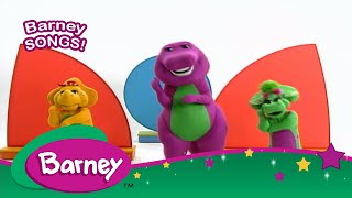 Barney | Mr. Knickerbocker | SONGS for Kids