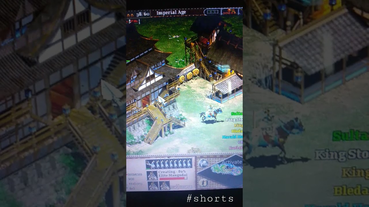 Age of empires 2 Conquerors, Vikings are attacking Mongols 