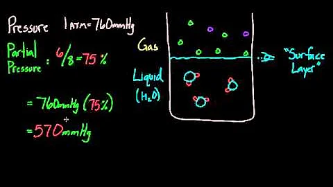 02   Gas exchange   03   Henry's law