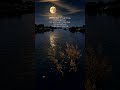 #music #love #song #songlyrics who you really are