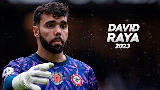 This is Why Arsenal Signed David Raya