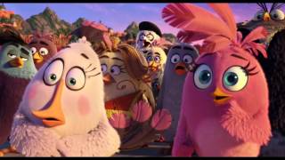 THE ANGRY BIRDS MOVIE   Official Trailer   IN CINEMAS MAY 12