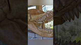 Rare Photos You've Never Seen Before [Part 90