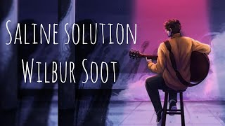 Wilbur Soot - Saline solution (lyrics)