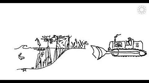 Proč chtějí chránit amazonský prales?