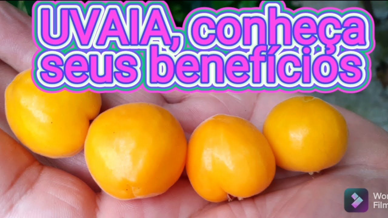 UVAIA,conheça seus benefícios, nativa do Brasil, compartilhe - YouTube